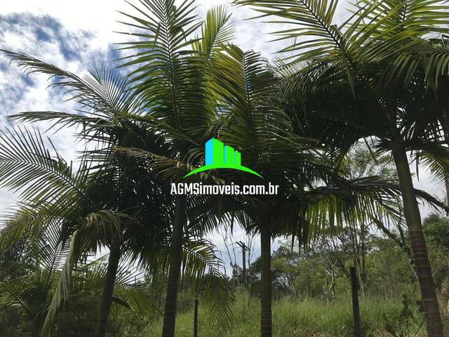#167 - Sítio para Venda em Tapiraí - SP
