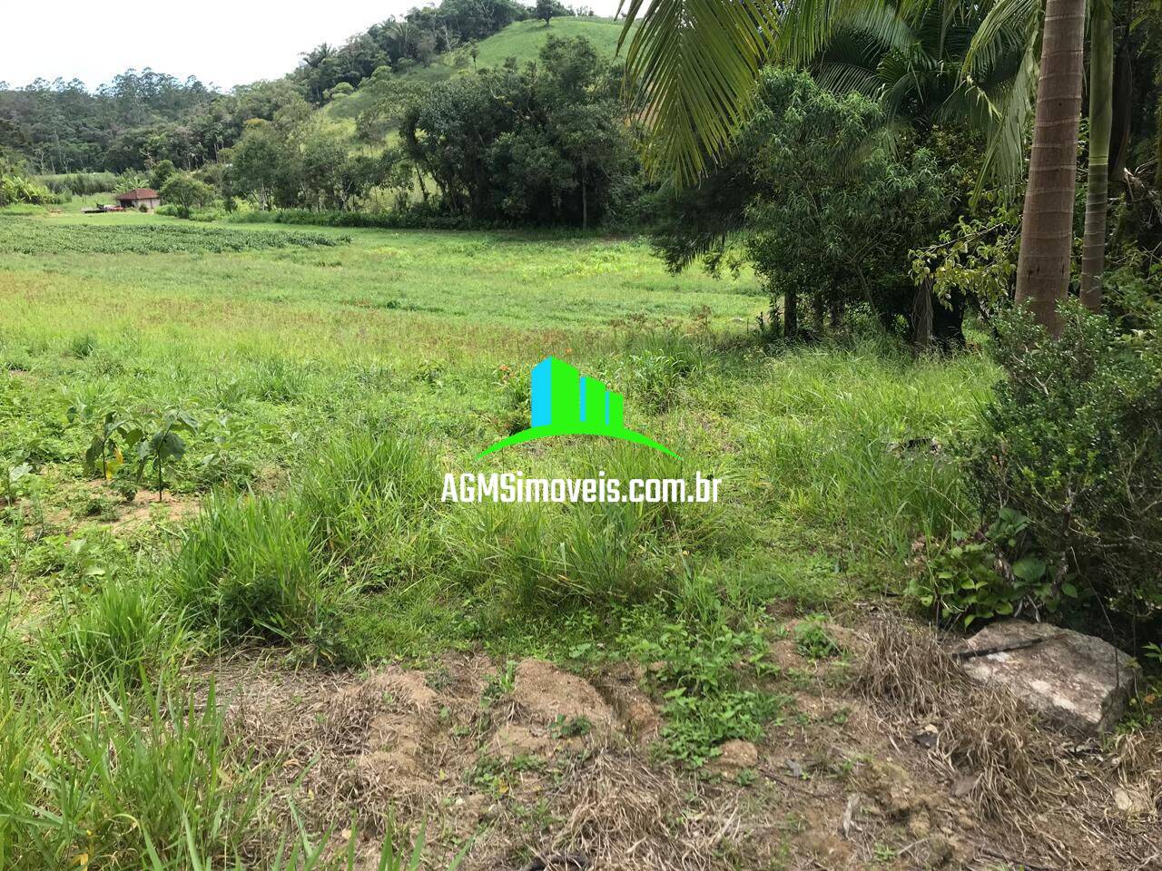 Sítio à venda com 4 quartos, 169400m² - Foto 3