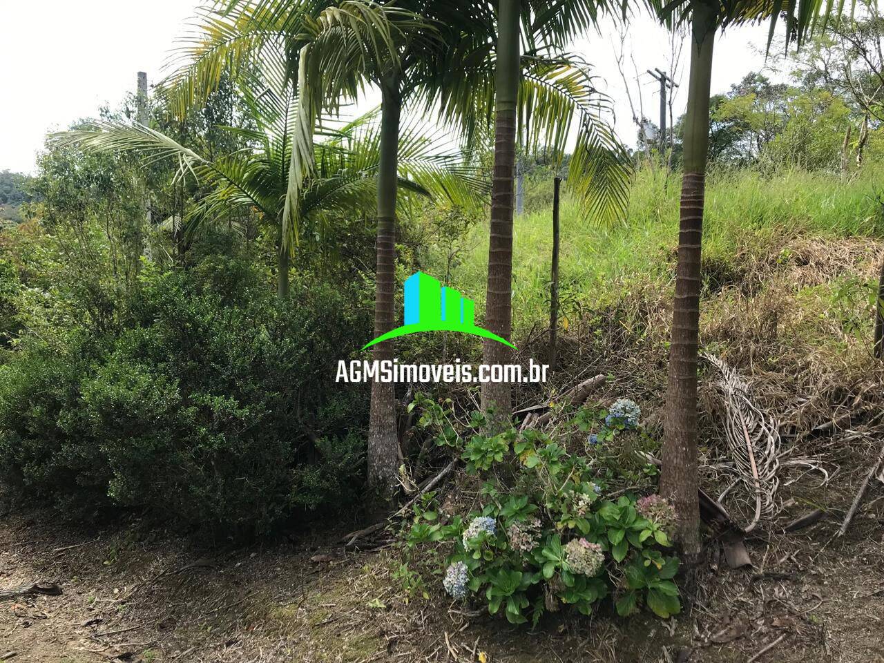 Sítio à venda com 4 quartos, 169400m² - Foto 5