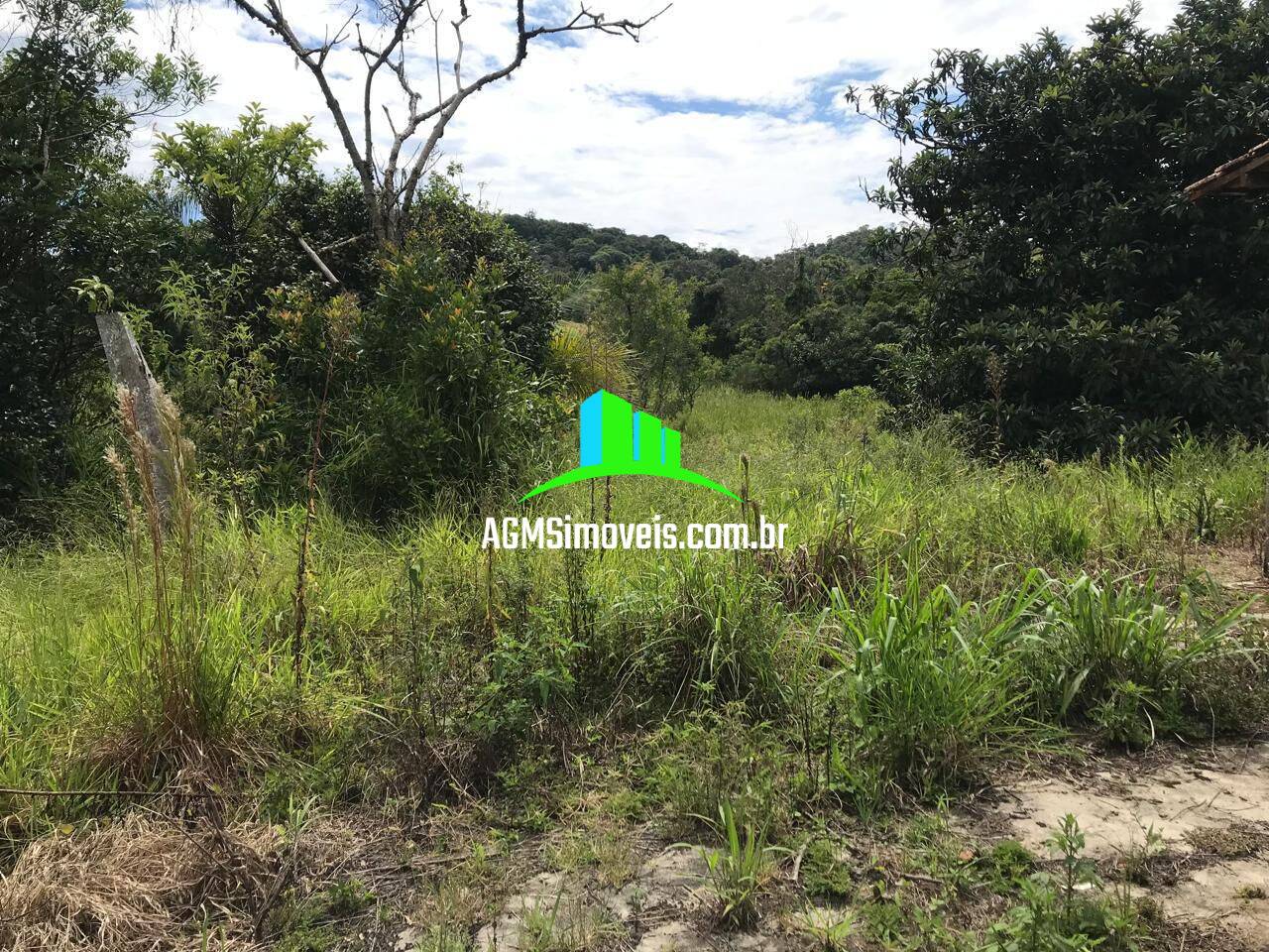 Sítio à venda com 4 quartos, 169400m² - Foto 9