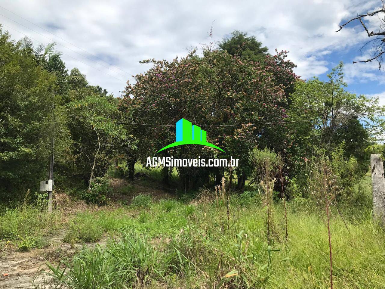 Sítio à venda com 4 quartos, 169400m² - Foto 8