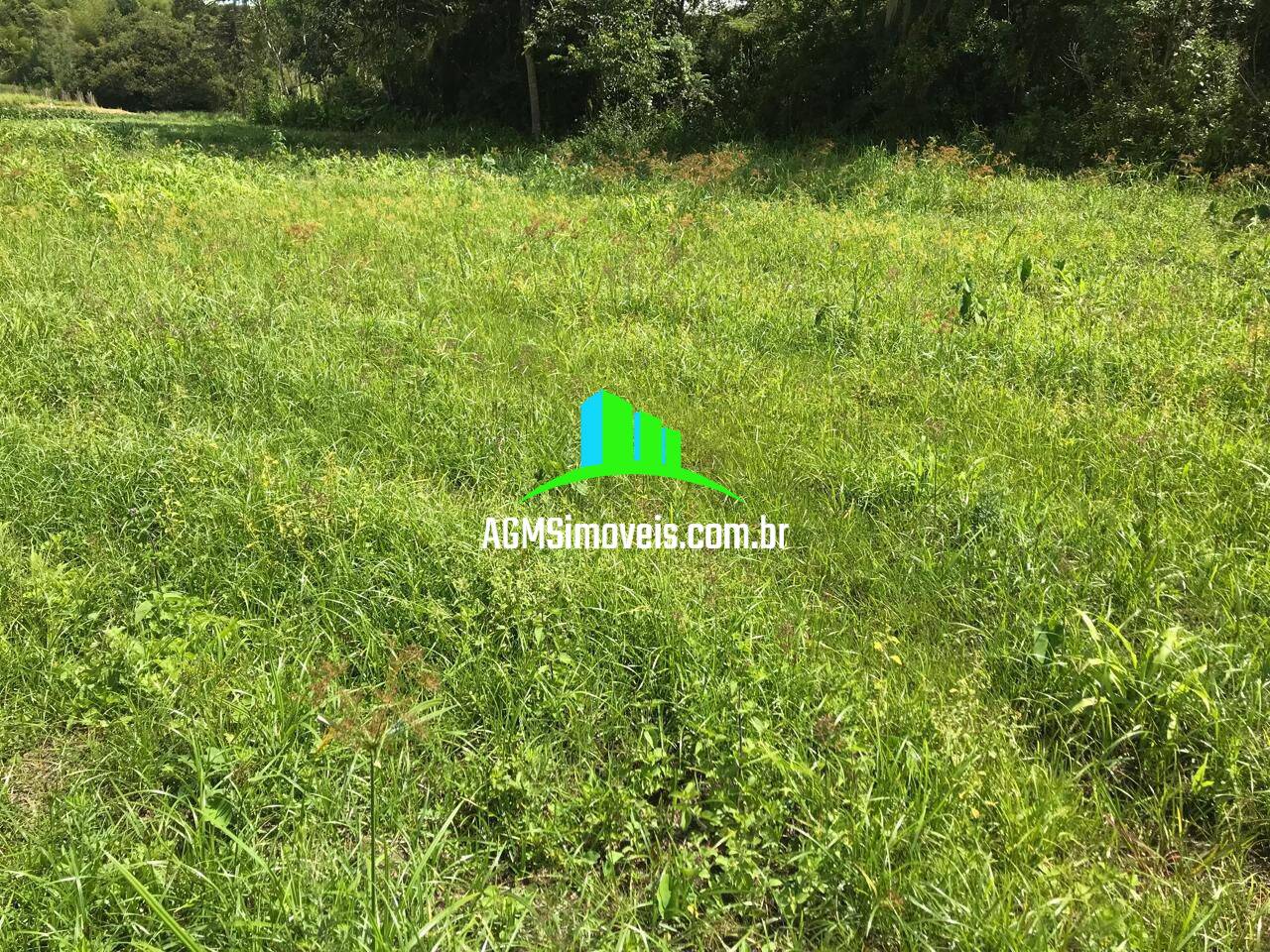 Sítio à venda com 4 quartos, 169400m² - Foto 18